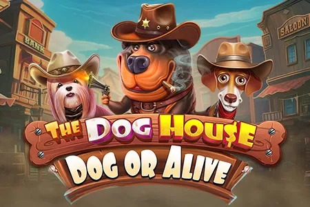 The Dog House - Dog or Alive